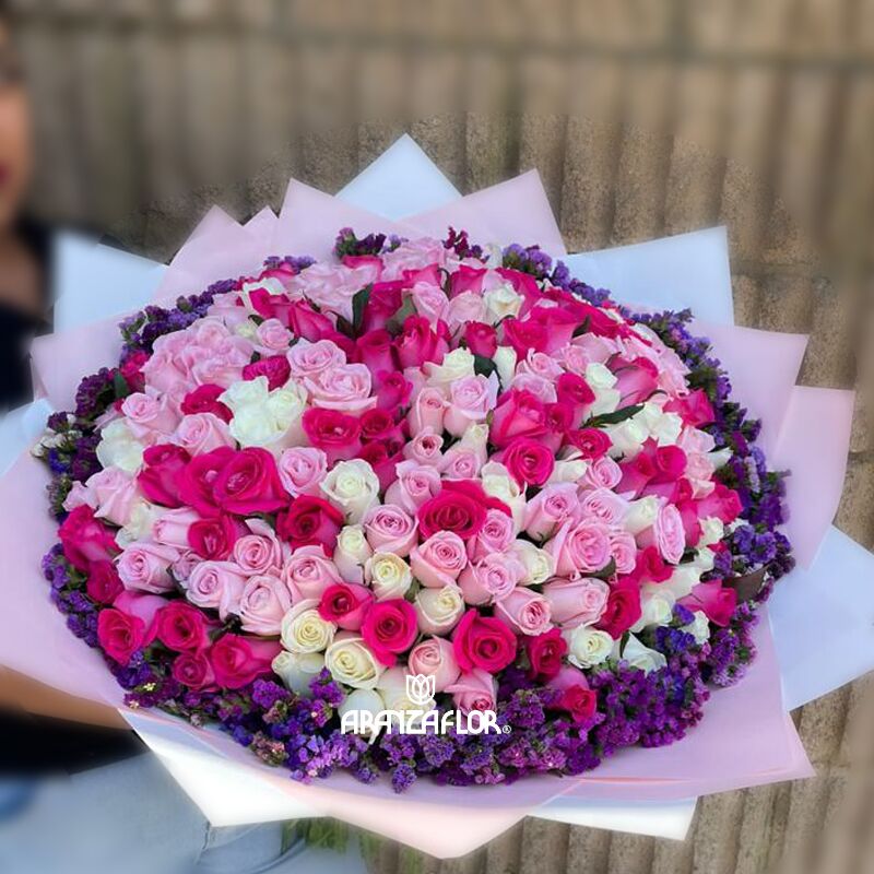 Ramos buchones, Morelia